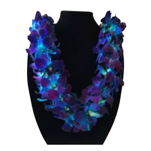 Bloom Lei