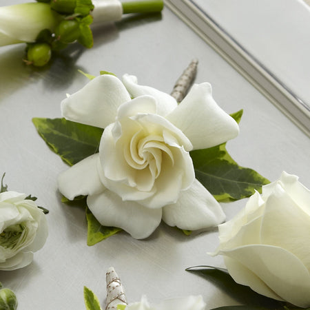 White Gardenia Boutonniere