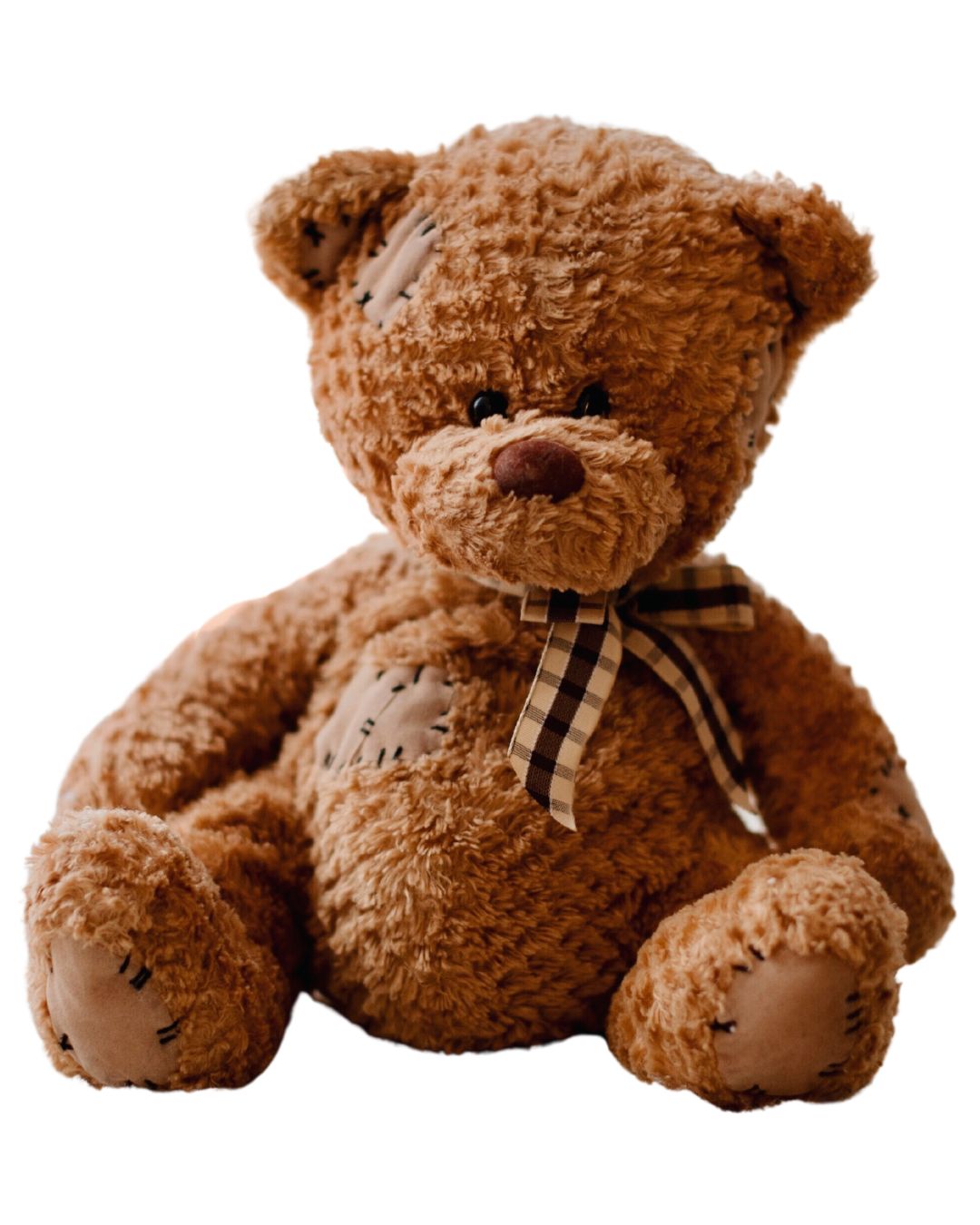 teddy bear in small size